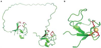 An Overview of the Electron-Transfer Proteins That Activate Alkane Monooxygenase (AlkB)